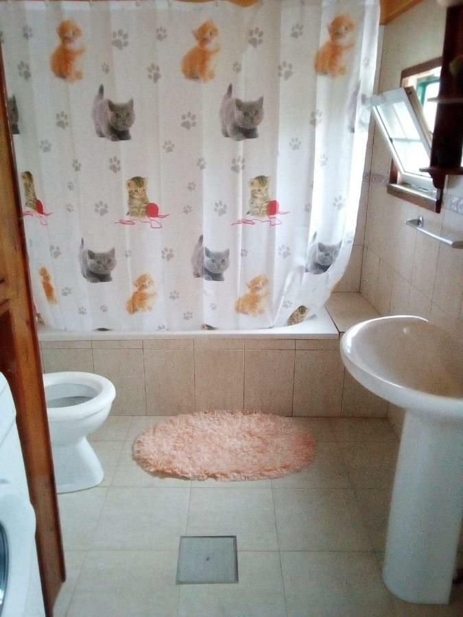 Lomba A Casa Do Jesus Alアパートメント エクステリア 写真